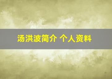 汤洪波简介 个人资料